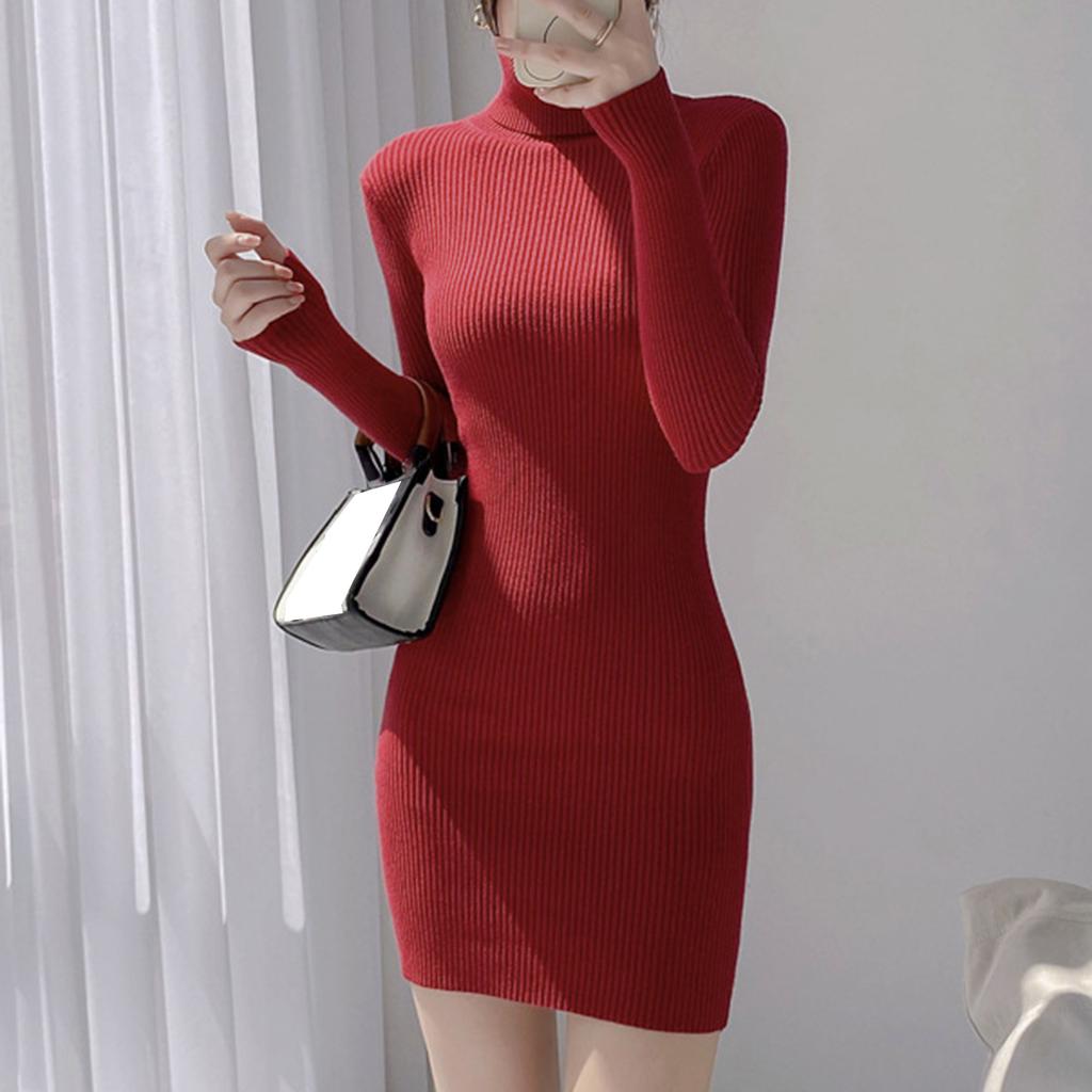 Ladies' Casual Color High Neck Knitted Dress