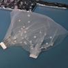Handmade Pearls Blusher Veil Soft Tulle Pearl Veil Lightweight Bridal Veil  Wedding Ceremony