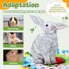 Small Pet Snuffle Mat Rabbit Foraging Mat Hamster Scent Training Blanket Toy Slow Feeder for Dogs &Rabbits