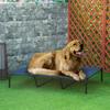 Dog Bed, Foldable, Outdoor Dog Bed, Elevated Stand, 122 Cm X 92 Cm X 23 Cm, Blue + Black