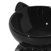 Ceramic Cat Feeder Bowl Dish Food and Water Raised Kitten for Dry Wet