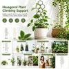 Adjustable PP Plant Support Structure For Flower Pots Climbing Roses Healthy Growth Of Ivies And Other Vine 5 Pack