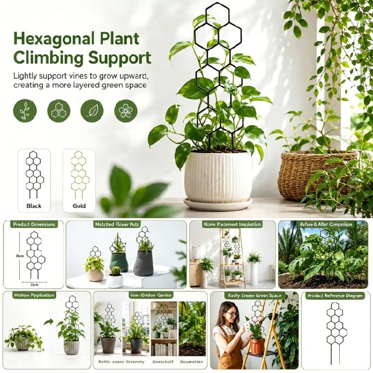 Adjustable PP Plant Support Structure For Flower Pots Climbing Roses Healthy Growth Of Ivies And Other Vine 5 Pack