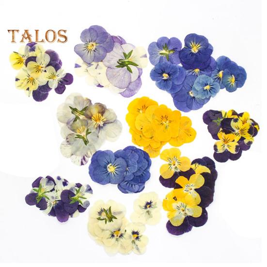 

24 шт. натуральных прессованных сухоцветов, сделай сам, искусство, поделки, украшение на торт, коктейли, ювелирные изделия из смолы, скрапбукинг, закладки, изготовление красочных прессованных разноцветный