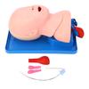 Infant Intubation Trainer Pediatric Intubation Manikin Tracheal Child Infant Airway Management Trainer for Science Lab