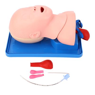 Infant Intubation Trainer Pediatric Intubation Manikin Tracheal Child Infant Airway Management Trainer for Science Lab
