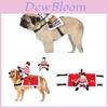 Factory Direct Horse Riding Costume For Pets Cosplay Knight Costume For Dogs