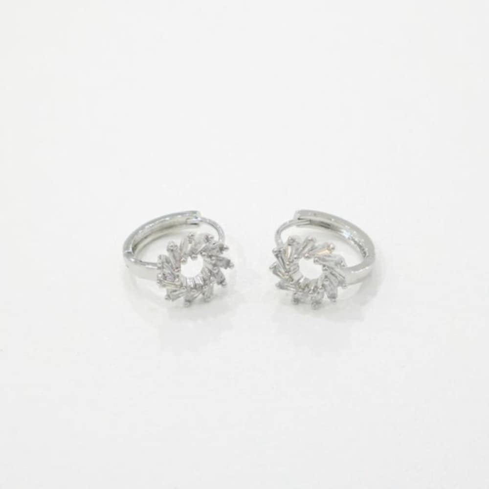 Women's One-Turtle Leaf Gold Silver Earrings (14664406)