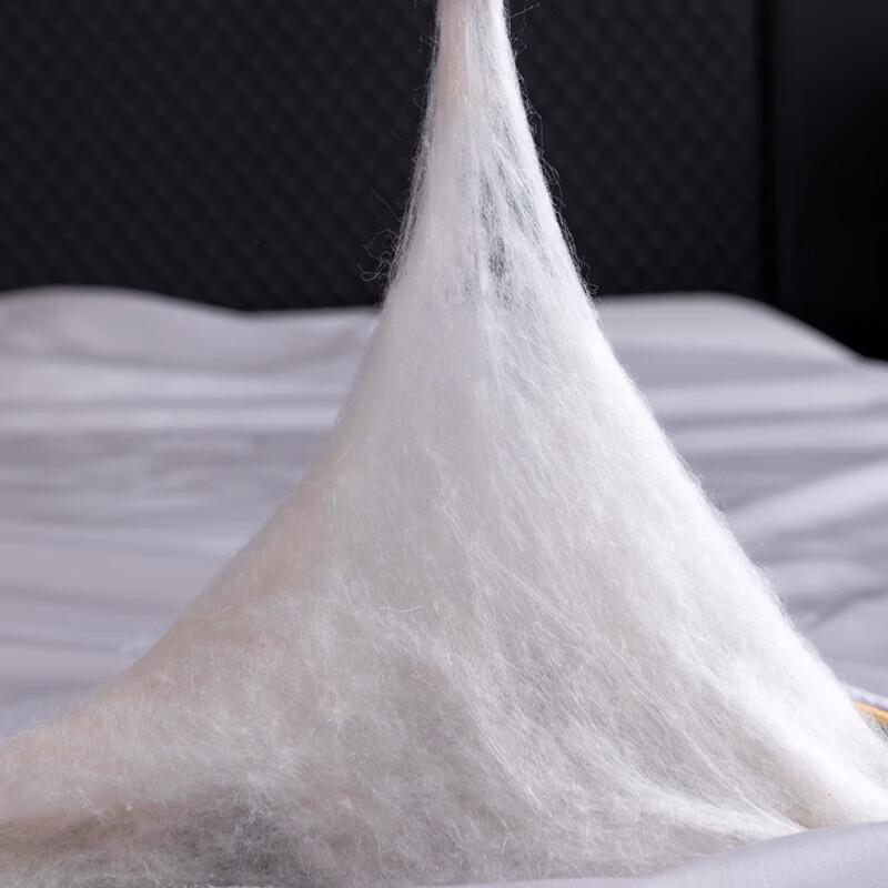 Crown Jianyue Lyocell Tussah Silk Quilt