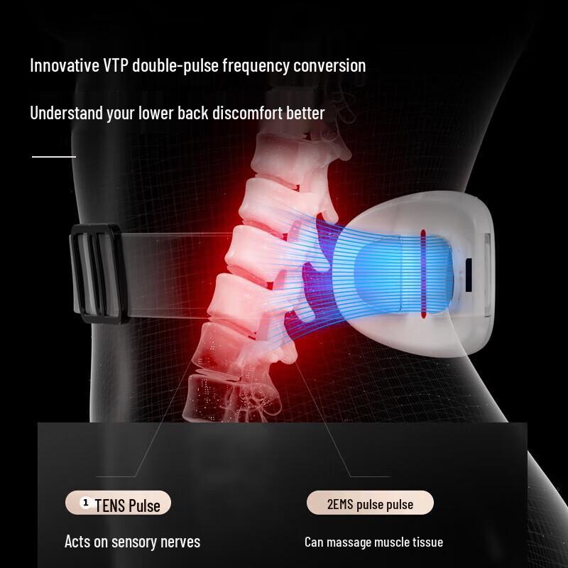 PANGAO Lumbar Waist Massager with Heat CN Plug (adapter Included)
