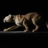 Light Luxury & High Simulation Cougar Animal Model Action Figure Gift Room Ornament Gk Decoration Trendy Toy Collector'S Gift
