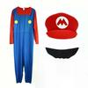 Adult Super Mario and Luigi Bros Mens Fancy Dress Costume S