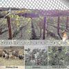 Bird Proof Net, Garden Fence And Crop Protection Fence Net, Bird Proof Deer Cat Dog Chicken