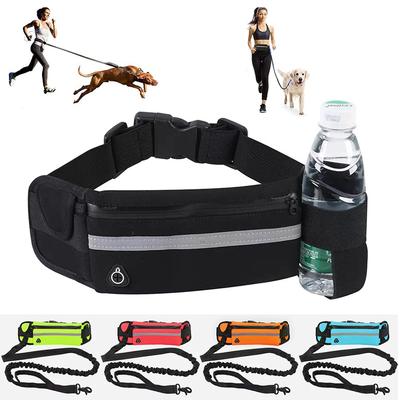 Köpek – Köpek Tasmaları ve Tasma Kayışları