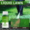 Nutritiousfor Grass Growingliquid, Spray lichid pentru întinerire Soluții de pulverizare lichidă pentru micronutrienți pentru iarbă 5 bucăți 60 ml