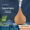Incense Purification Diffuser & Night Light: Silent Essential Oil Atomizer for Aromatherapy and Humidification In Home or Office