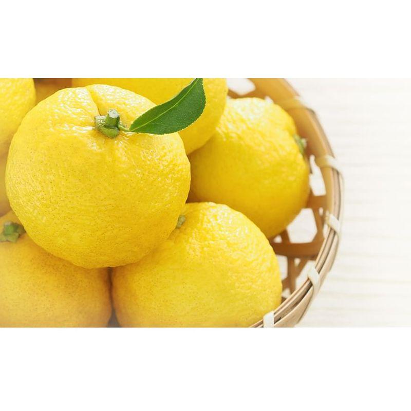 Bouquet Garni Moisture Body Oil White Musk