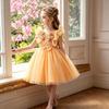 Little Girl Sleeveless Princess Tutu Flower Girl Dress
