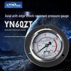 LANL YN60ZT Axial Shock-Resistant Pressure Gauge (CN Version)