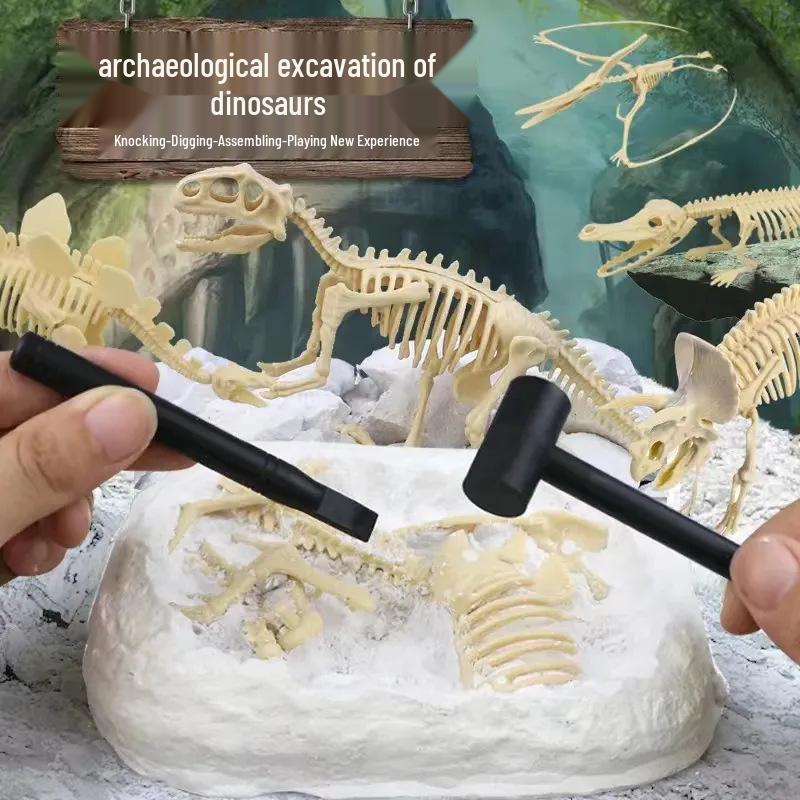 

Dinosaur Fossil Excavation Toy: Gem and Skeleton Treasure for Kids