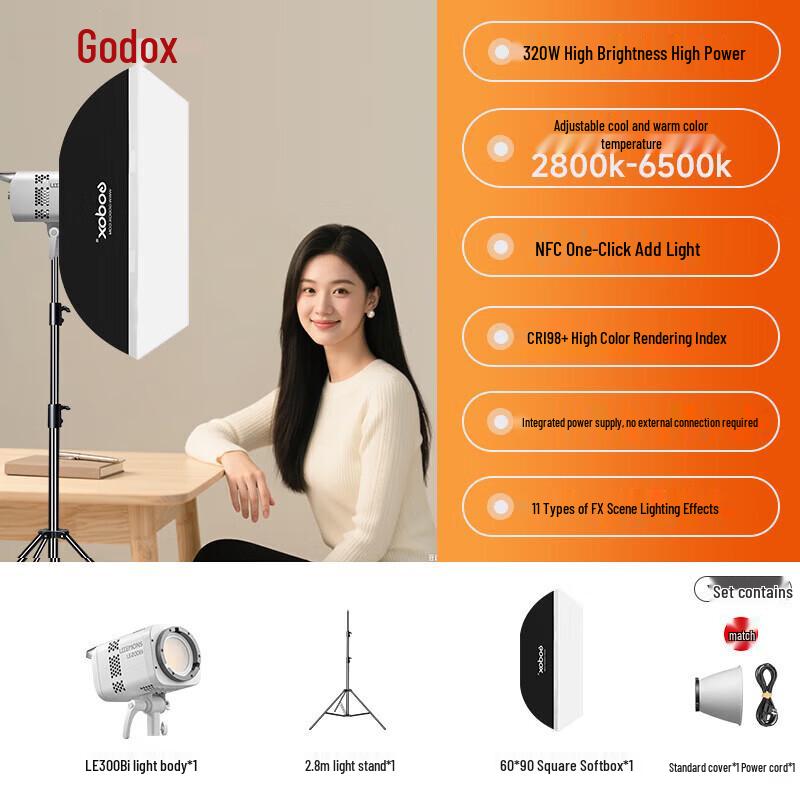 Godox LE300Bi Bi-Color COB LED Video Light Kit