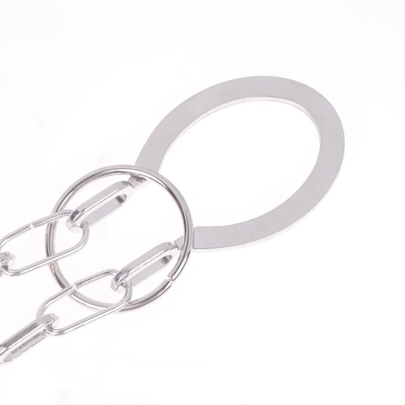 1 Stück 3D Metall Puzzle Knobelspiel Ringentfernung Erwachsene Kinder IQ Herausforderung Spiele Hufeisenschloss Altes Schloss Schäkel Lösung Witz