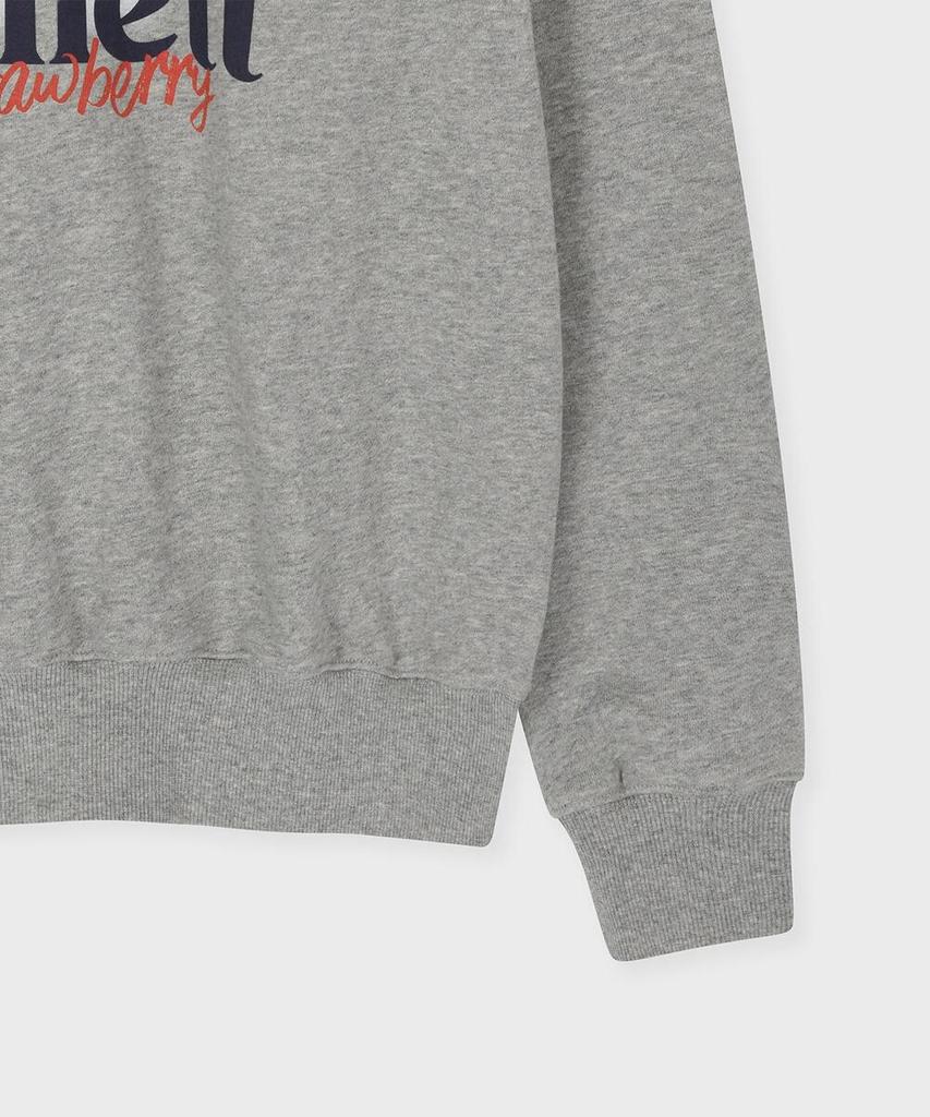 FALLETT Fresh Berry Raglan Sweatshirt Gray