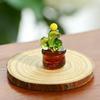Miniatur Kaktus Figur aus Kunstkristall Handgeblasenes Glas Topfpflanze Ornament für Zuhause Büro Schreibtisch Tischplatte Auto Innenraum Armaturenbrett Dekoration