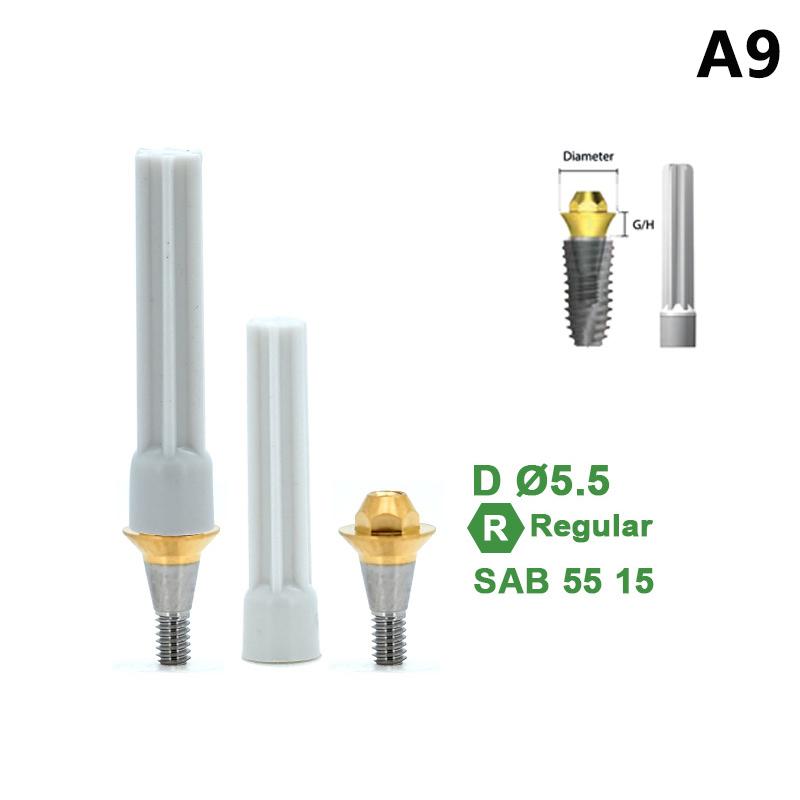 

Дентиум Композитный Прямоугольный Компонент Аксессуары Винтоинструменты Стоматологический Материал Инструмент для Замены Стоматологического Имплантата