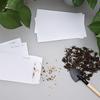 100PC Money Envelopes for Cash Gift Cards Cash Envelopes Seeds Self-Sealing Organizing Coins 8.89x16.5cm
