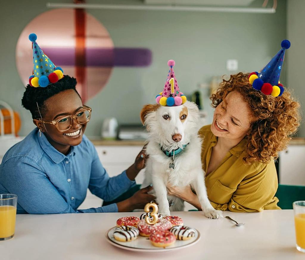 Pet Birthday Hat Scarf Set Adjustable, Cat/Dog Birthday Supplies Mini Pet Saliva Towel Cat/Dog Supplies