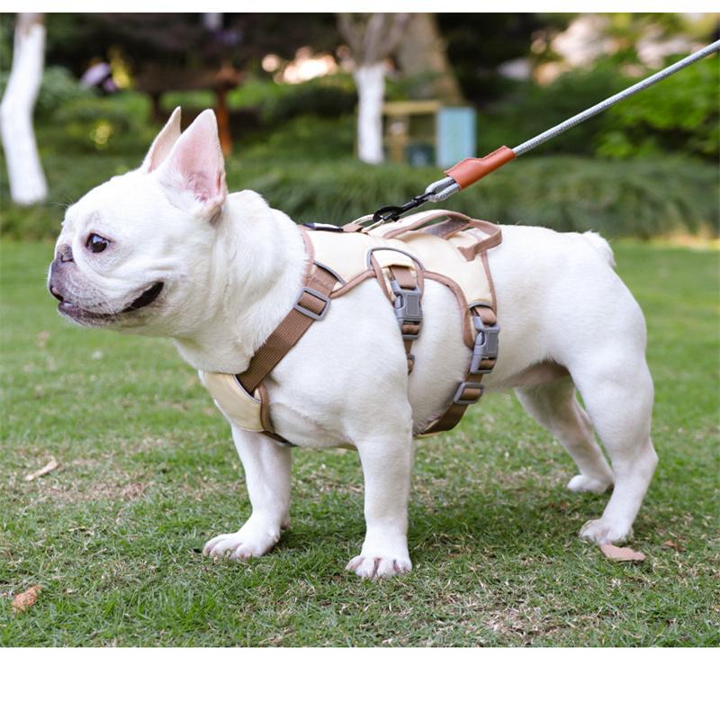 Dog Leash Small and Medium Dogs Pet Chest Strap Reflective Protection Shock Absorption Dog Chest Pet Leash Leash