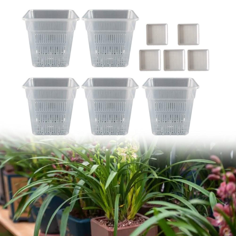 Root Observation Square Pot Designed for Optimal For Plant Growth Conditions