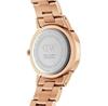Daniel Wellington Watch DW00100212