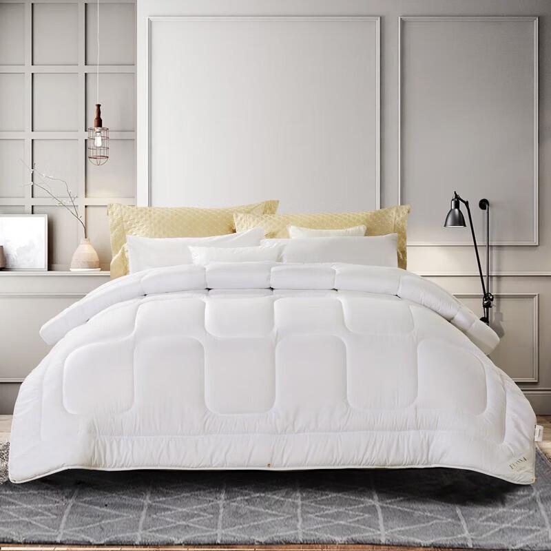 

Fuanna Extra Warm Winter Quilt