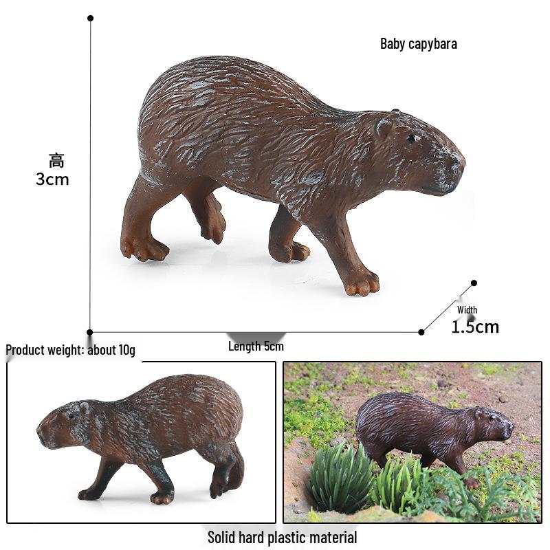 Capybara Wildlife Model Toy - Cognitive Animal Desktop Ornament for Kids