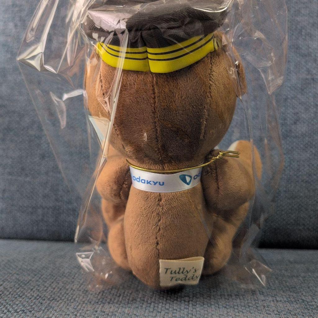 [USED] TULLY'S Odakyu Electric Railway Bearful Teddy Bear