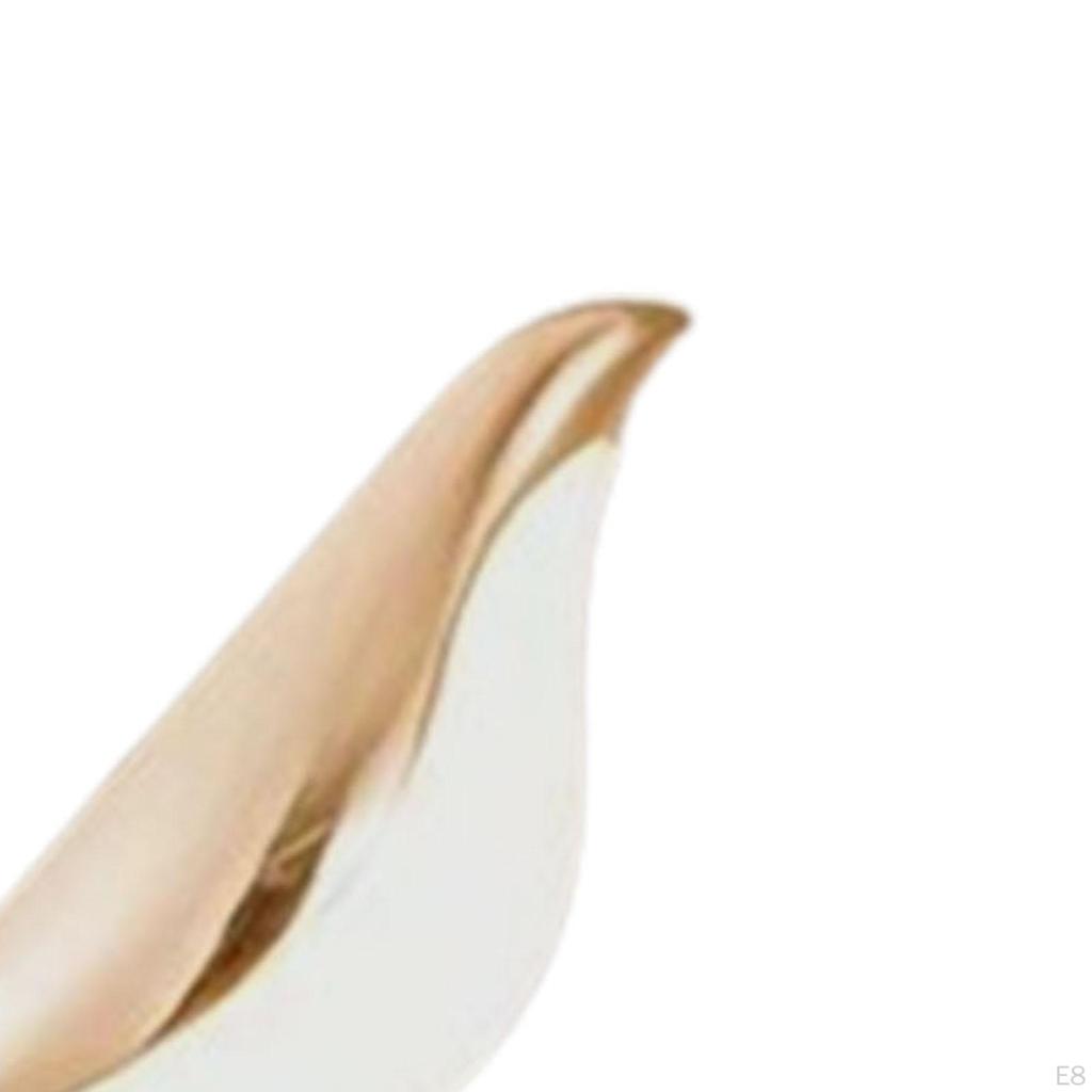 Avian Wall Light Fixtures for Contemporary Home Decor