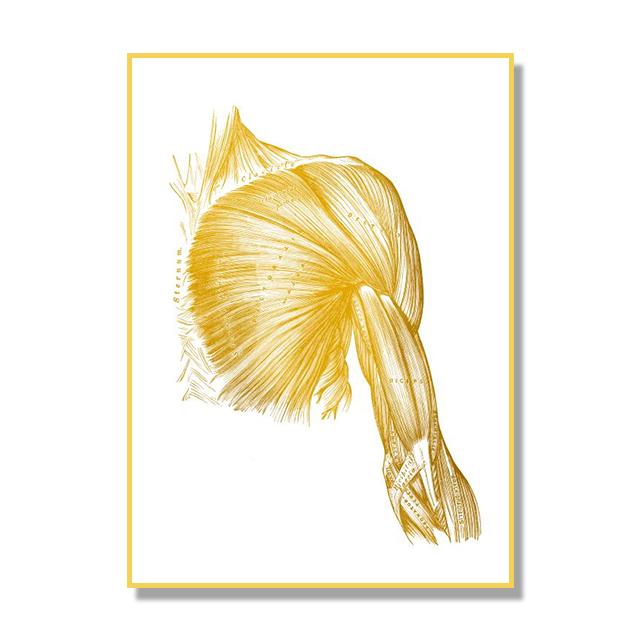 Human Organ Bone Tissue Structure Poster Golden Nordic Retro Style Canvas Painting Living Room Wall Art Prints Modern Home Decor No Frame