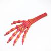3D Printed Halloween Skeleton Hand Bone Model - Scary DIY Prank Ornament