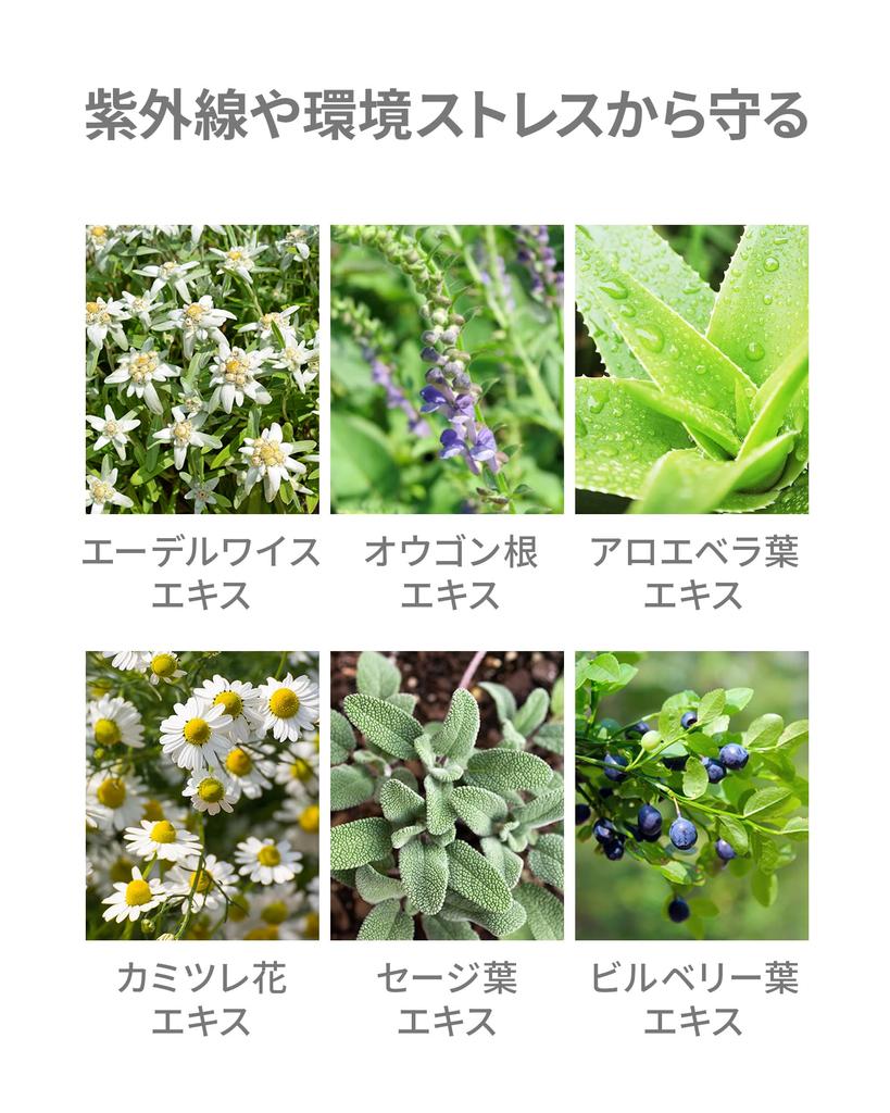 VINTORTE SPF50+ PA++++ UV Mineral Cream Sunscreen, Non-Chemical, for Face, Vintorte UV Cream V-uvc2