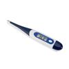 Tragbares Stiftartiges Elektronisches Klinisches Orales Digitales Thermometer Medizinischer Fachmann Produktion Wasserdicht Hergestellt Kunststoff Elektrisch
