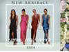 2024 Spring/Summer Sexy Deep V Sleeveless Backless Evening Dress for Women