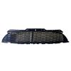 51117283330: Fits MINI R56 JCW Lower Front Bumper Grille