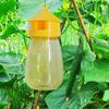 Wasp Trap Outdoor Wasp Hanging Fly Trap Catcher Clear Traps Boxes Garden Supplies Beekeeping Catcher Cage For Wasps Control