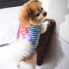 Classic Striped Tank Tops for Dogs Are Comfortable and Breathable