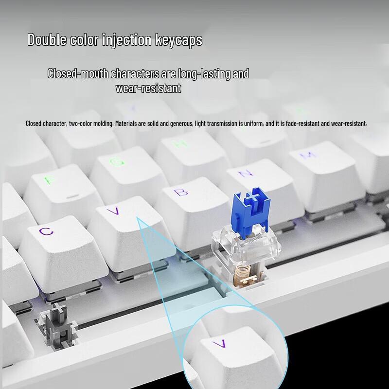 Rapoo V500PRO-98 Upgrade 98-Key Wired RGB Mechanical Keyboard