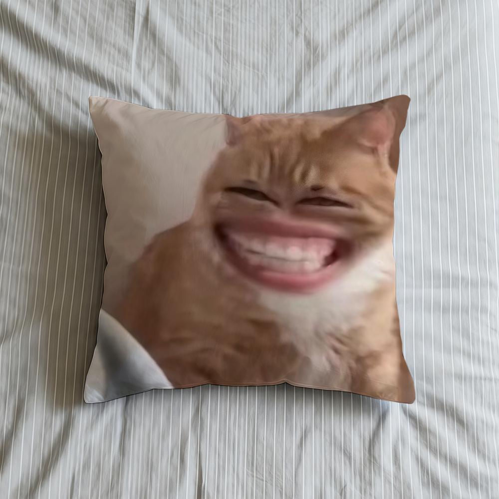 Cushion Cover Soft Meme Case Funny Sofa Living Room Home Comfortable Office Decor Cat Protective Pillow