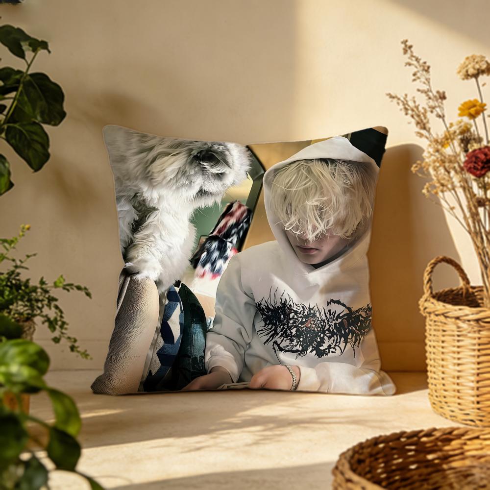 Fashion ANettspendew Cushion Cover Versatile DoubleSided Pillow Case Fit for Sofa Bed Car Daily Decor