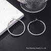 Silver Needle Circle Earrings, Fashionable High-End Copper Ear Hoops, Light Luxury, Versatile Jewelry Accessory.